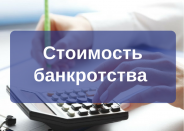 Стоимость банкротства физических лиц